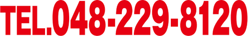 TEL.048-229-8120